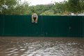 Василий Орлов: «Амурская область готова строить защитные сооружения от паводка»