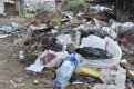 60% любой помойки составляет пластик. Бродячие животные часто становятся жертвами такого мусора.