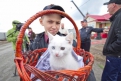 Местные власти сделали Горбачевским пушистый подарок — котенка с разноцветными глазами.