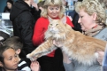 Полюбоваться на кошек приехала даже организованная группа школьников из Тамбовки.