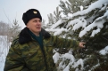 Евгений Волков: «За 20 лет количество желающих поставить дома живую елку сократилось в 4 раза».