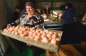 В руках у сотрудницы — будущие цыплята бройлера. Эти яйца станция покупает  в Благовещенске.