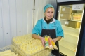 Благовещенские предпринимательницы — единственные в России производители омлетов в пакетах
