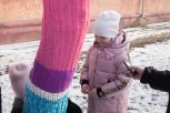 Шарфик для тополя: зачем в Благовещенске одели деревья на зиму