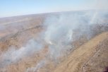 Восемь видеокамер будут предупреждать о лесных пожарах в Амурской области