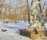 Амурскую область слегка припорошит снежком