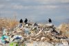 В Амурской области уничтожат 327 незаконных свалок мусора