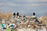 В Амурской области уничтожат 327 незаконных свалок мусора