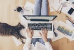 Более 2500 амурчан работают удаленно или находятся на самоизоляции