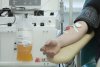 В амурских аптеках начали раздавать флаеры с призывом к переболевшим COVID-19 сдать кровь