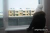 Полмиллиарда рублей направят на жилье амурским сиротам в 2021 году