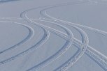 В Магдагачинском районе охотоведы задержали браконьеров после погони