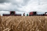 Урожай зерновых в Амурской области превысил планы аграриев, несмотря на паводок