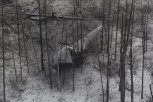 В тайге Зейского района найдены два блока первой ступени «Союза-2.1б»