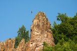 Амурчанам предлагают пройти опрос о развитии туризма в регионе