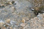 За загрязнение  ручья в Зейском районе золотодобытчик должен выплатить больше 19 миллионов