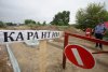 На границе с Забайкальем животных проверят на ящур: в Амурской области появится постоянный пост
