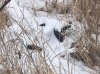 В Благовещенске нашли убийцу пропавшего в декабре 23-летнего парня