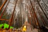 Чумовой эксперимент: как туристы и журналисты переночевали в дикой тайге в -50