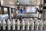 Молочка снова подорожает: почему в Приамурье растут цены на молоко, сметану и творог