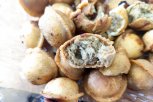 Хлеб по цене мяса: жительнице Свободного продали пельмени с мучной начинкой (видео)