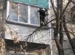 Три дня на карнизе: амурские спасатели сняли с третьего этажа замерзающую кошку