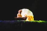 Электробалалайка для «Золотой рыбки» : в Амурском театре кукол сказочная премьера