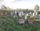 Еще 50 амурчан взяли по дальневосточному гектару с начала этого года