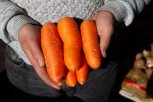 Немытая Россия: почему китайская морковка в два раза дороже амурской