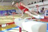 Олимпийцы подарили амурским школьникам спортинвентарь на миллион рублей