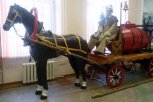 Амурские спасатели электроножами выпилили лошадь в натуральную величину для своего музея