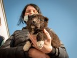 Крыша для Подкидыша: приют в Игнатьеве принял первых постояльцев