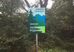 За воровство 100 тысяч рублей лесничий Тындинского района может заплатить полмиллиона