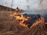 В Архаринском районе через спутник обнаружили лесной пожар