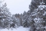 Снег и мороз: непредсказуемый апрель вернул зиму в Амурскую область