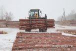 Заготовители древесины в Бурейском районе отказались проводить работы по восстановлению леса