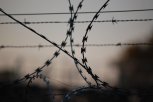Жительница Тамбовского района за неуплату алиментов отправится в колонию