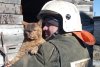 В Магдагачах из горящего дома спасли рыжего кота