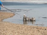 Амур освобождается ото льда: апрельский фоторепортаж с набережной Благовещенска