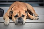 5 советов, как победить скуку, и кто придумал посудомойку: утро с АП