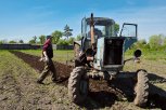Амурчан взволновала фейковая новость о «сухом» законе на майские праздники