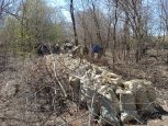 Сначала субботник, потом вывоз гаражей: как Вознесенское кладбище в Благовещенске приводят в порядок