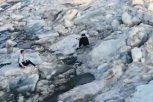 Двенадцатилетний школьник провалился под лёд в Благовещенске