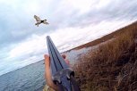 Амурских браконьеров оштрафовали и отобрали у них оружие за охоту на уток