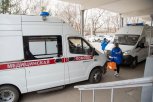 Новая коронавирусная инфекция подтвердилась еще у 12 амурчан