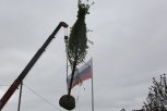 В Благовещенске высадят 7-метровые липы из Германии