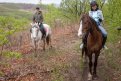 Лес, и кони, и «Контур»:прогулки с клубом «Контур» помогают по-новому взглянуть на амурскую природу