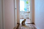 Почти 100 амурских детей-сирот получили сертификаты на собственное жилье