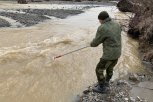 Золотодобытчики загрязнили реку в Селемджинском районе