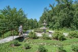 Ботанический сад в амурской столице приглашает гостей на увлекательную прогулку